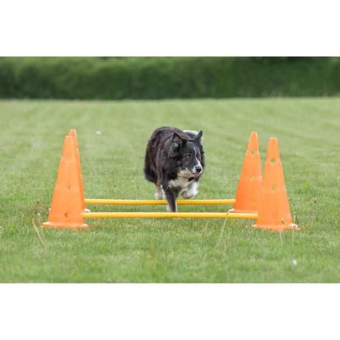 Trixie Kit de Agility para Perros - Lote de 3 Obstáculos con Conos Naranja y Amarillo Ø 23x30 cm y Barras 78 cm 5