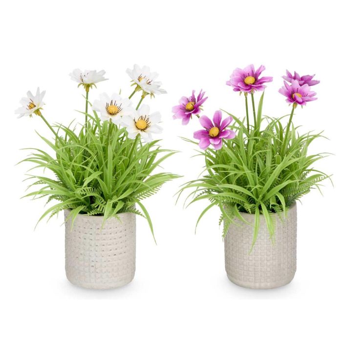 Maceta Cemento Cuadrados Flores Surtidos Ibergarden 18x23x18cm (24 Unidades) 2 Maceta Cemento Cuadrados Flores Surtidos Ibergarden 18x23x18cm (24 Unidades) 2