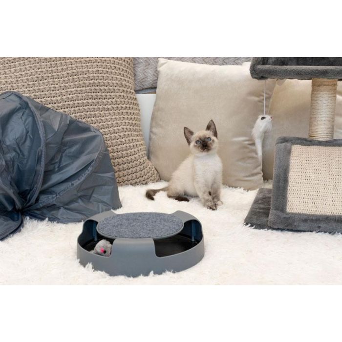 Rueda de ejercicio horizontal para gato Mascow 25x6.5x25 cm gris (12 Unidades) 4 Rueda de ejercicio horizontal para gato Mascow 25x6.5x25 cm gris (12 Unidades) 4