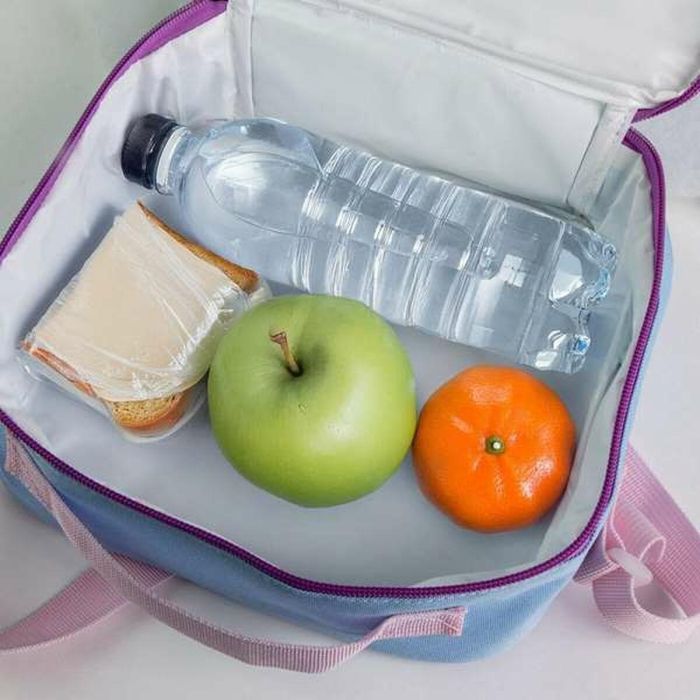 Bolsa isotérmica bluey 23.5 x 19.5 x 10.0 cm 2