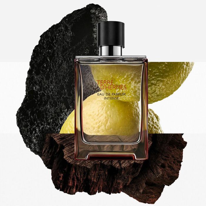 Terre D'Hermès Parfum Intense Edp Recarga 200 mL 2