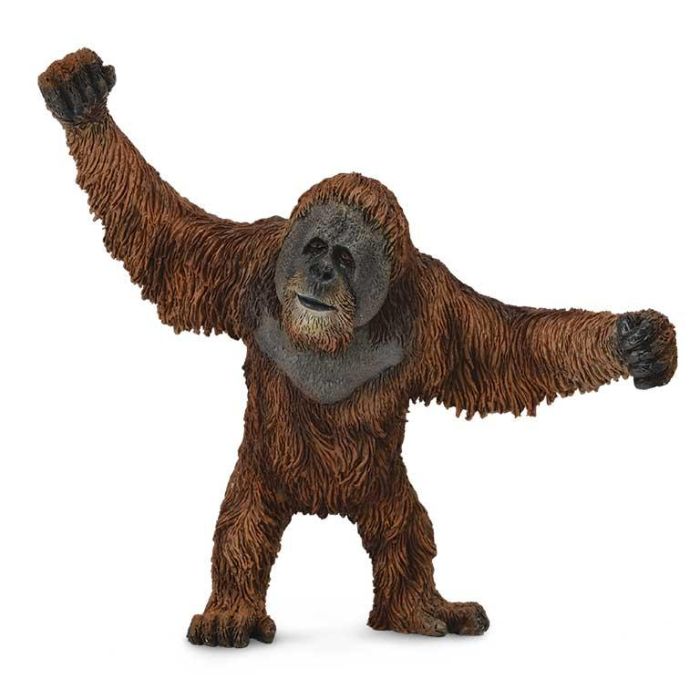 Collecta 88730 Orangután - Figura Animal Salvaje Escala L, Pintada a Mano, Réplica Detallada para Niños +3 Años Collecta 88730 Orangután - Figura Animal Salvaje Escala L, Pintada a Mano, Réplica Detallada para Niños +3 Años