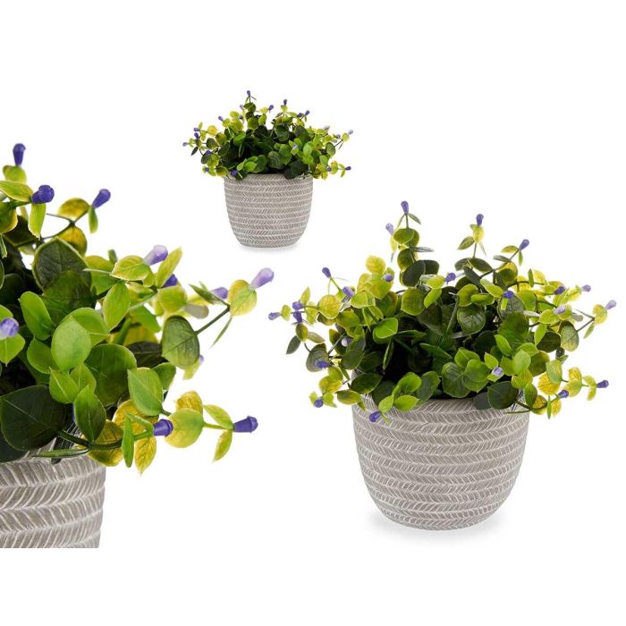 Planta Verde con Flor Lila y Maceta Gris Ibergarden 21x20.6x21 cm (8 Unidades) Planta Verde con Flor Lila y Maceta Gris Ibergarden 21x20.6x21 cm (8 Unidades)