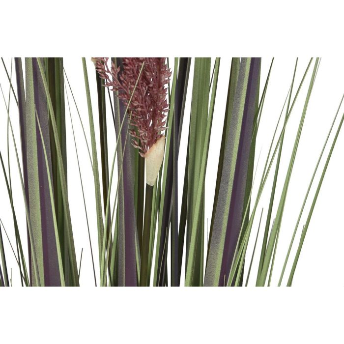 Planta DKD Home Decor Marron Claro Lila 35 x 120 x 35 cm (2 Unidades) 2