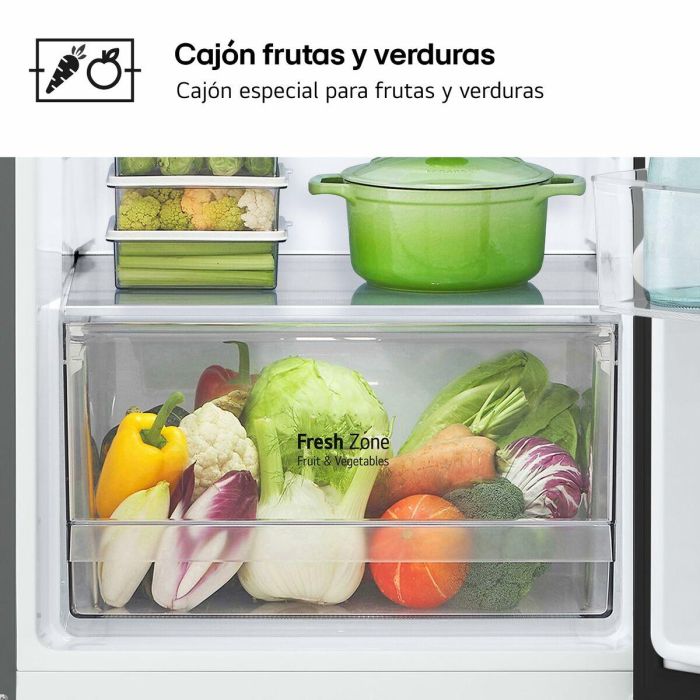 Frigorífico combinado LG GTBV22PYGKD 145 Acero 14