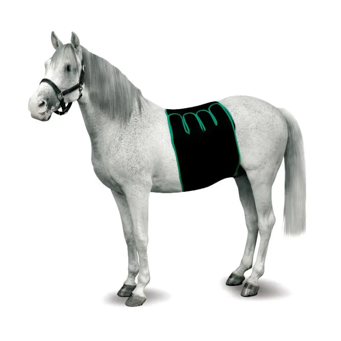 Equine Recovery Bandage L Kruuse