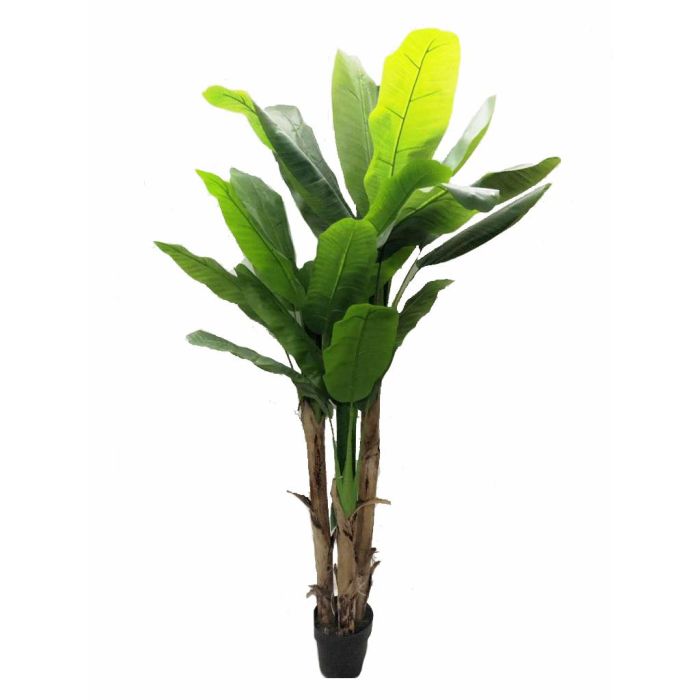 Oplante Planta Artificial Bananera 180 cm Verde Tela, Decoración para Hogar u Oficina 0 Oplante Planta Artificial Bananera 180 cm Verde Tela, Decoración para Hogar u Oficina 0