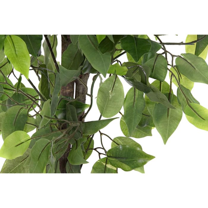 Planta Urban DKD Home Decor Verde 50 x 90 x 50 cm 2 Planta Urban DKD Home Decor Verde 50 x 90 x 50 cm 2