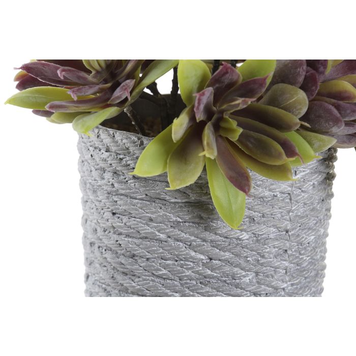 DKD Home Decor Planta Decorativa Artificial de PE y EVA Surtida, Colores Naranja, Rojo, Verde, Gris, 15x17x16 cm, Pack de 4 2 DKD Home Decor Planta Decorativa Artificial de PE y EVA Surtida, Colores Naranja, Rojo, Verde, Gris, 15x17x16 cm, Pack de 4 2