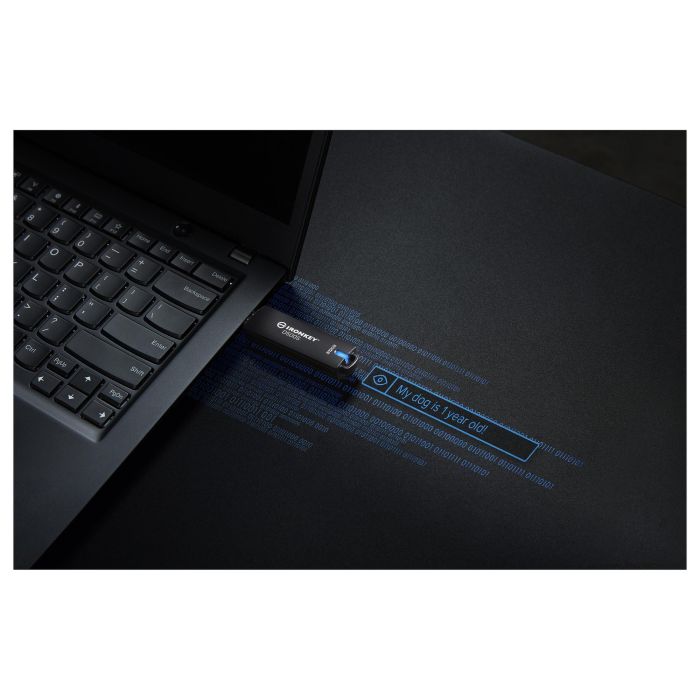 Kingston IronKey D500S USB 3.2 Gen 1 512 GB Negro - Llave USB segura cifrada hardware AES-256, FIPS 140-3 Nivel 3, IP67, resistente 2