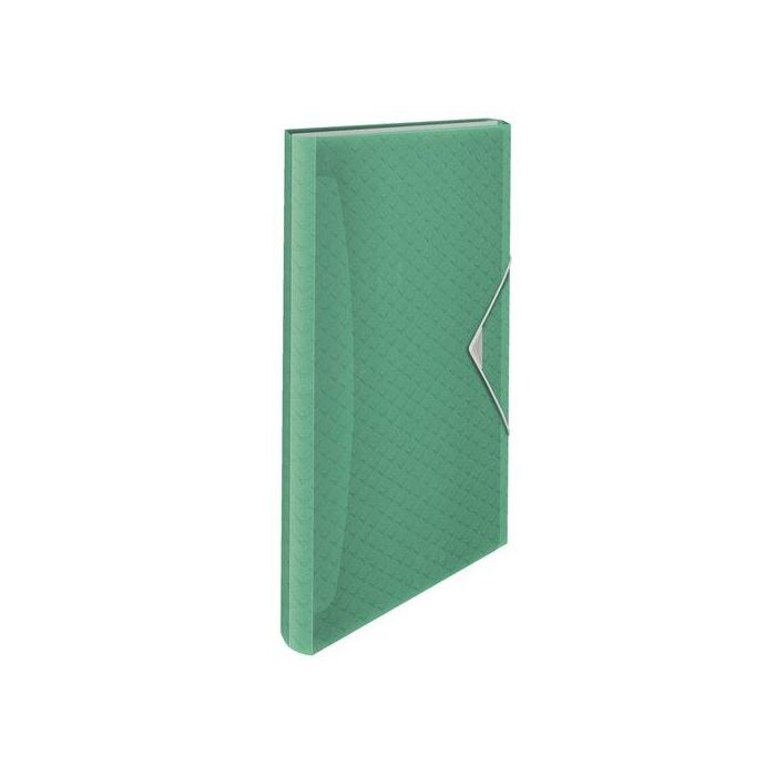 Clasificador Acordeon Esselte Pp Colour Breeze A4 6 Separad. Verde (Set de 3)