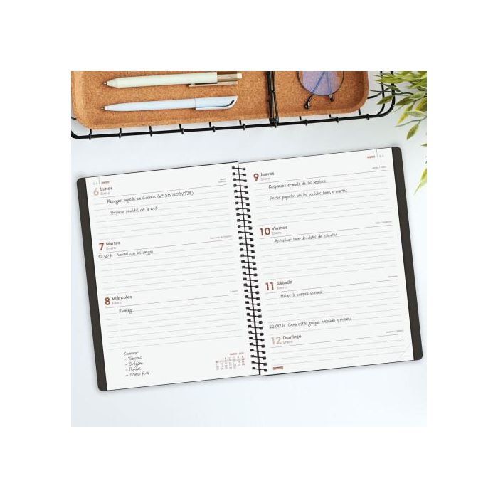 Agenda Finocam MY E10 Negro A5 15,5 x 21,2 cm 2025 2