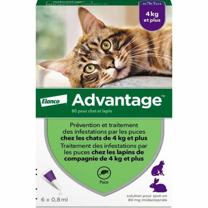 VENTAJA 80 - 6 pipetas antiparasitarias - Para gatos y conejos de 4 kg y más