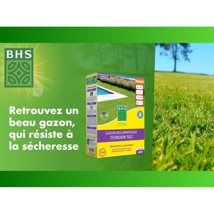 Césped - BHS - Regenerador de césped 1 kg 1 Césped - BHS - Regenerador de césped 1 kg 1