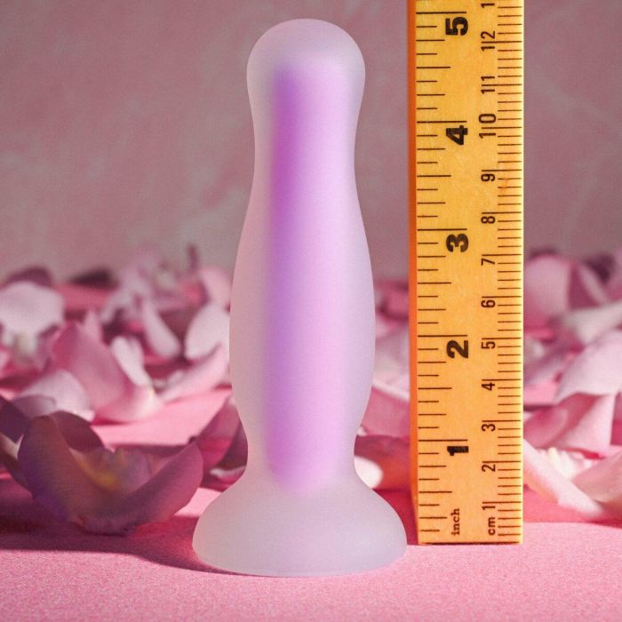 Plug Anal Evolved Morado 4 Plug Anal Evolved Morado 4