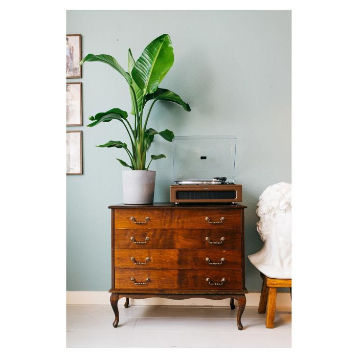 Lenco LS-430BN Tocadiscos de tracción por correa con Bluetooth, 4 altavoces integrados, 33/45 RPM, color marrón 14