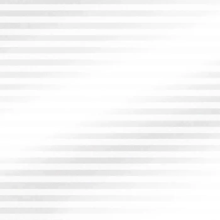 Easy Protec AUC3700613393588 Película Adhesiva para Ventanas Persiana Veneciana 100 x 90 cm 4