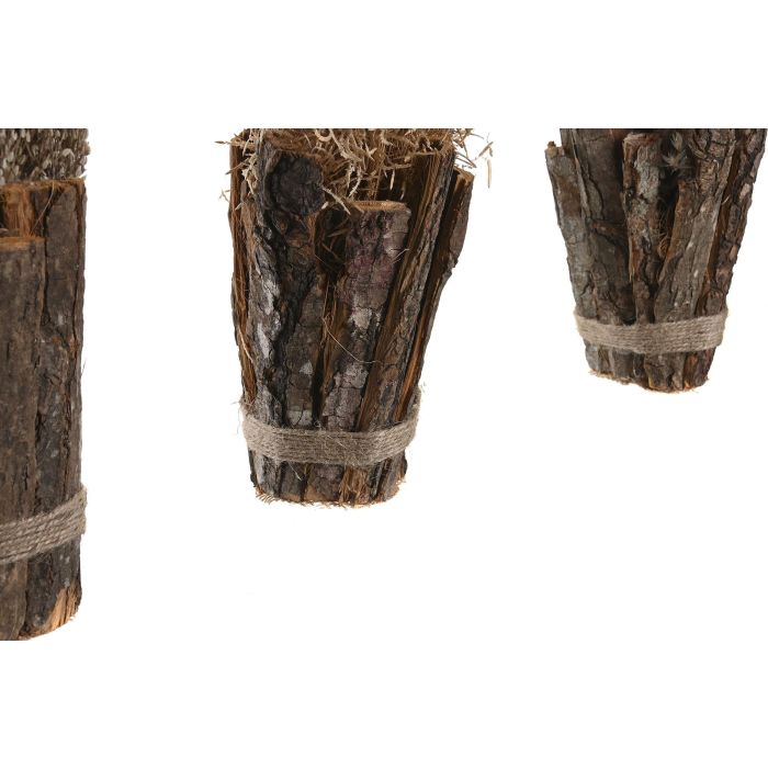 DKD Home Decor Planta Alpino Marron Natural 18 x 40 x 18 cm (12 Unidades) 1
