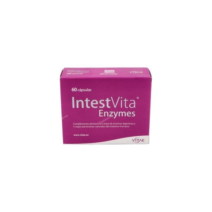 VITAE Intestvita Enzymes 60 Cap. Complemento Alimenticio para Flora Intestinal y Digestión