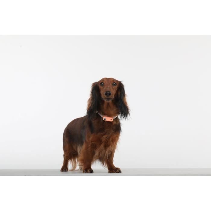 Repelente ultrasónico para perros - TICKLESS MINI DOG&CAT - Protección contra pulgas y garrapatas - Hot Peach 5 Repelente ultrasónico para perros - TICKLESS MINI DOG&CAT - Protección contra pulgas y garrapatas - Hot Peach 5