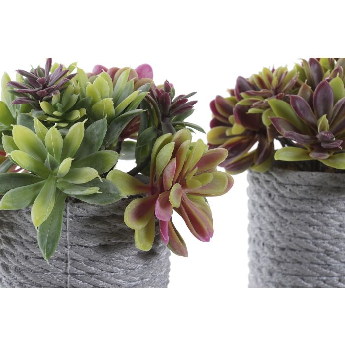 DKD Home Decor Planta Decorativa Artificial de PE y EVA Surtida, Colores Naranja, Rojo, Verde, Gris, 15x17x16 cm, Pack de 4 1 DKD Home Decor Planta Decorativa Artificial de PE y EVA Surtida, Colores Naranja, Rojo, Verde, Gris, 15x17x16 cm, Pack de 4 1