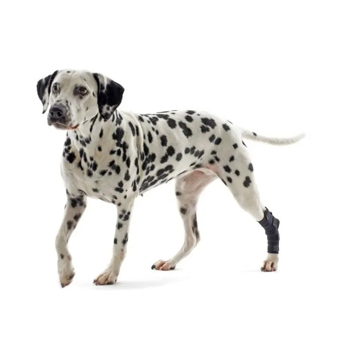 Kruuse Rehab Protector de Tarso en Neopreno, Talla XL para Perros Grandes Kruuse Rehab Protector de Tarso en Neopreno, Talla XL para Perros Grandes