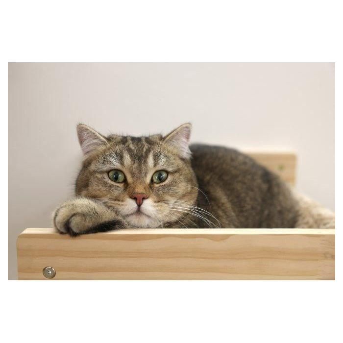 Kerbl KER4018653388648 Hamaca de pared para gatos TIMBER, madera maciza y tejido de felpa 38x33.5x16 cm 3