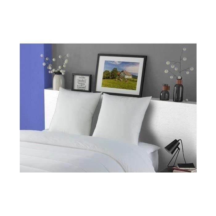 DODO Set de 2 Almohadas MERIBEL Plumettes 60x60cm 2 DODO Set de 2 Almohadas MERIBEL Plumettes 60x60cm 2