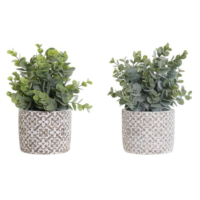 Planta Decorativa DKD Home Decor Jarrón Verde Resina PE (10,5 x 10,5 x 24 cm) (2 Unidades) Planta Decorativa DKD Home Decor Jarrón Verde Resina PE (10,5 x 10,5 x 24 cm) (2 Unidades)