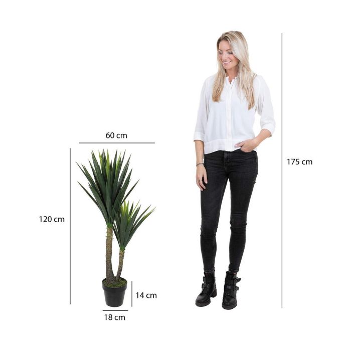 Planta Decorativa Mica Decorations Yucca (120 x 60 cm) 2 Planta Decorativa Mica Decorations Yucca (120 x 60 cm) 2