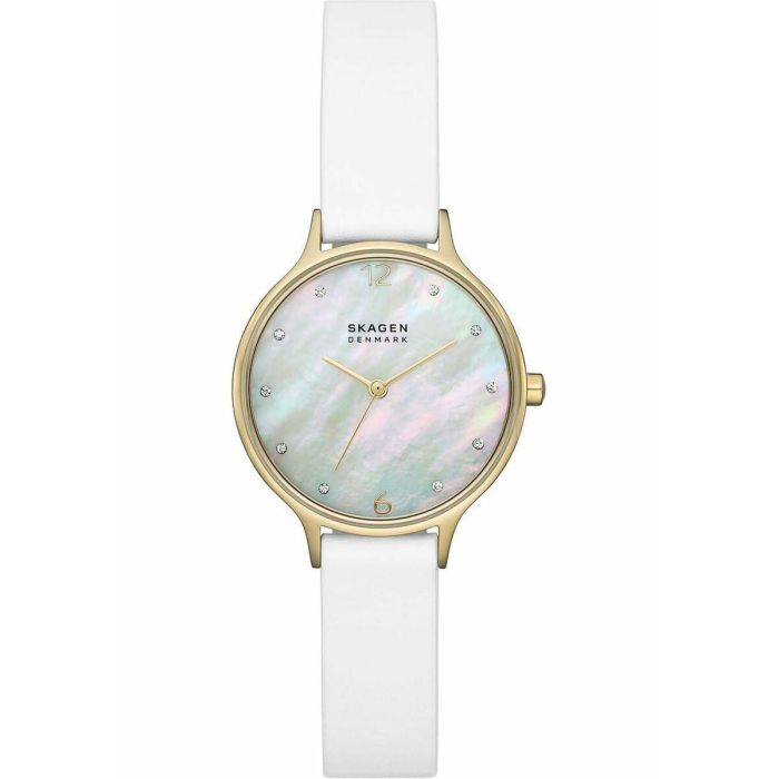 Reloj Mujer Skagen SKW3138 Reloj Mujer Skagen SKW3138