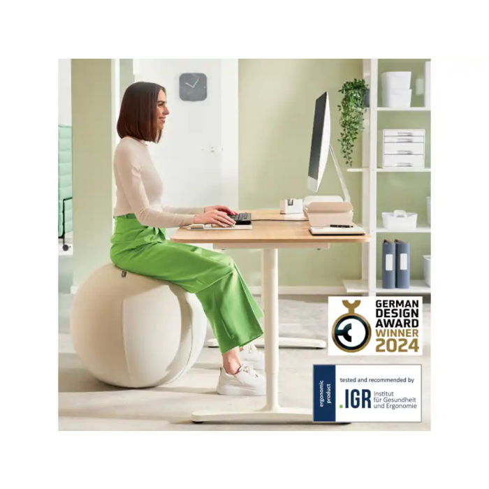 Silla De Balon Leitz Active Ergo Ø65Cm Antideslizante Gris 1 Silla De Balon Leitz Active Ergo Ø65Cm Antideslizante Gris 1