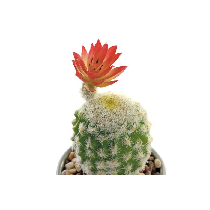 DKD Home Decor Planta Cactus Cerámica Gris Rosa 8 x 20 x 8 cm (8 Unidades) 1 DKD Home Decor Planta Cactus Cerámica Gris Rosa 8 x 20 x 8 cm (8 Unidades) 1