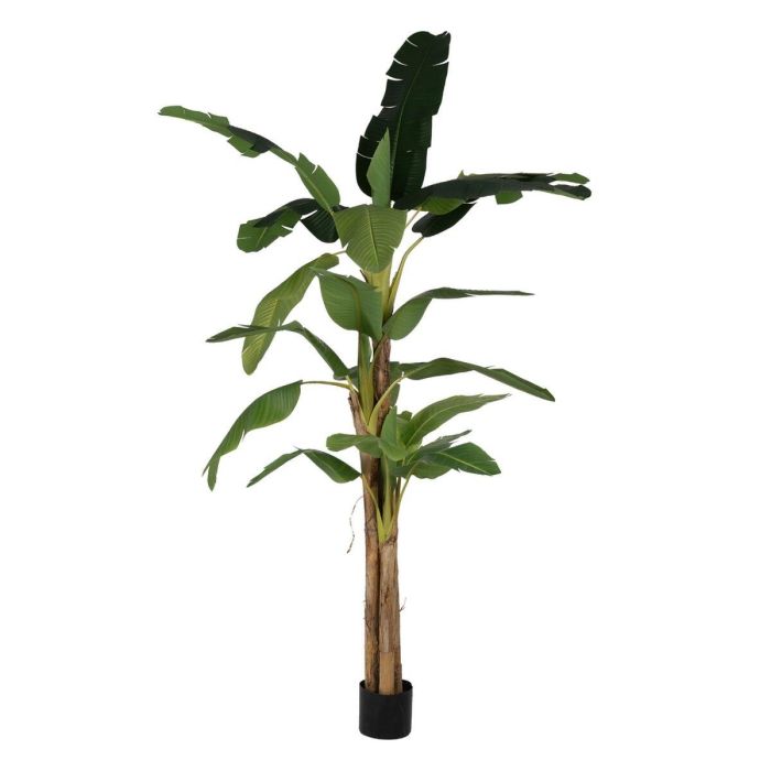 Planta Decorativa Goma Bananera 120 x 120 x 280 cm