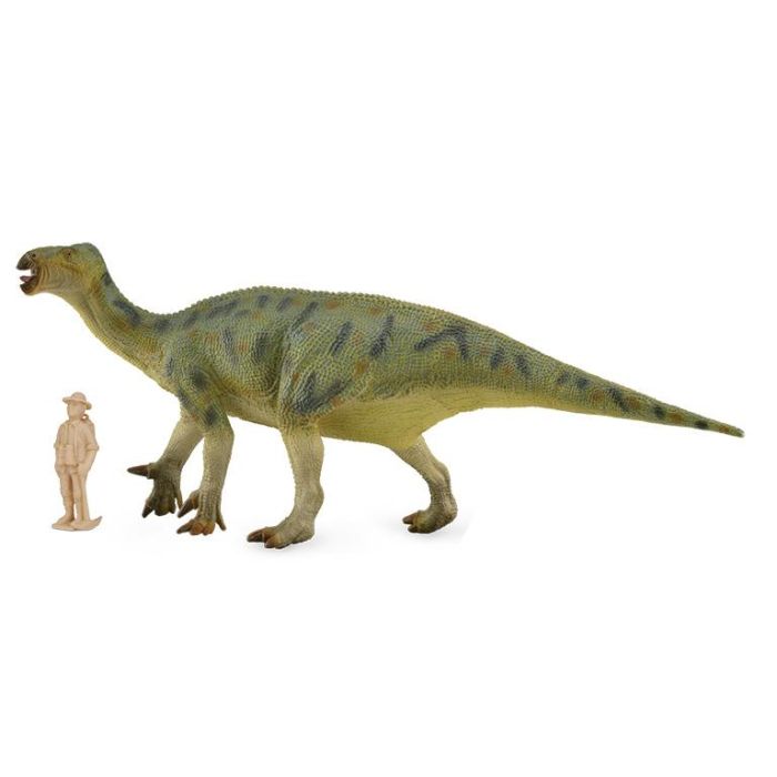Iguanodon Deluxe 1:40 - Deluxe - 88812 - Collecta 2 Iguanodon Deluxe 1:40 - Deluxe - 88812 - Collecta 2