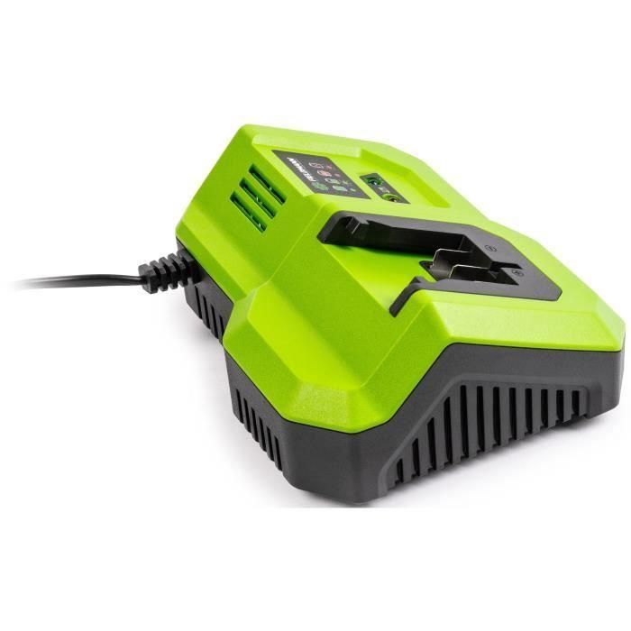 Cargador rápido - FIELDMANN - Para batería de 20 V - Carga 2 Ah en 30 min - Compatible con 2 Ah, 4 Ah, 8 Ah 1 Cargador rápido - FIELDMANN - Para batería de 20 V - Carga 2 Ah en 30 min - Compatible con 2 Ah, 4 Ah, 8 Ah 1