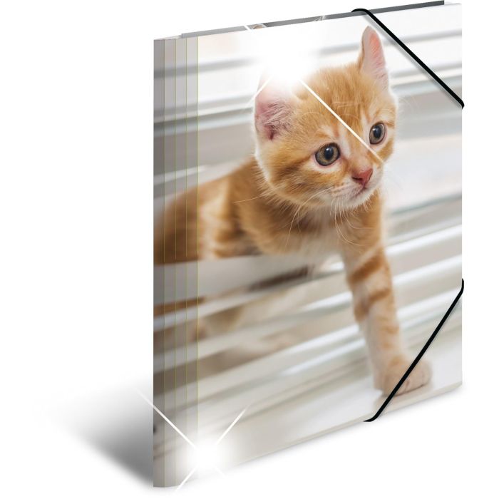HERMA Sammelmappe A4 Glossy Katze Polypropylen 1 HERMA Sammelmappe A4 Glossy Katze Polypropylen 1
