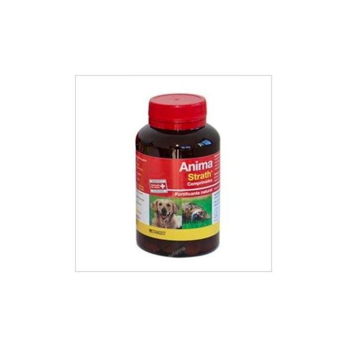 Stangest Anima Strath Fortificante y Reconstituyente - 240 Comprimidos
