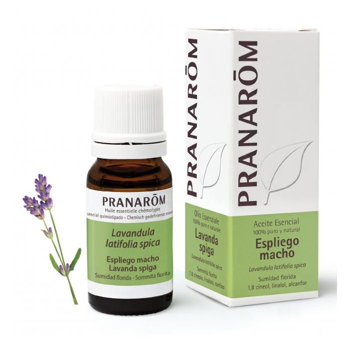 PRANAROM Espliego Macho Sumidad Florida 10 ml