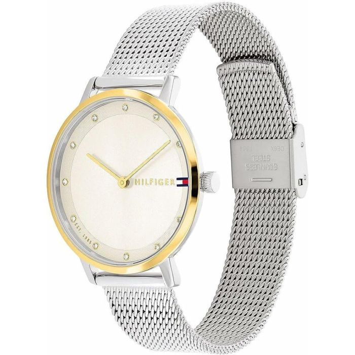 Reloj Mujer Tommy Hilfiger 1782667 (Ø 40 mm) 2 Reloj Mujer Tommy Hilfiger 1782667 (Ø 40 mm) 2