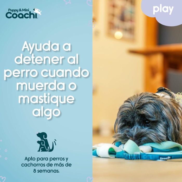 Arnés para Perro Coachi 2 Arnés para Perro Coachi 2