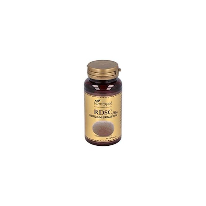 Plantapol Rdsc Plus Melena de León + Escaramujo 60 Cápsulas. Complemento Alimenticio con Vitamina C para el Bienestar Diario