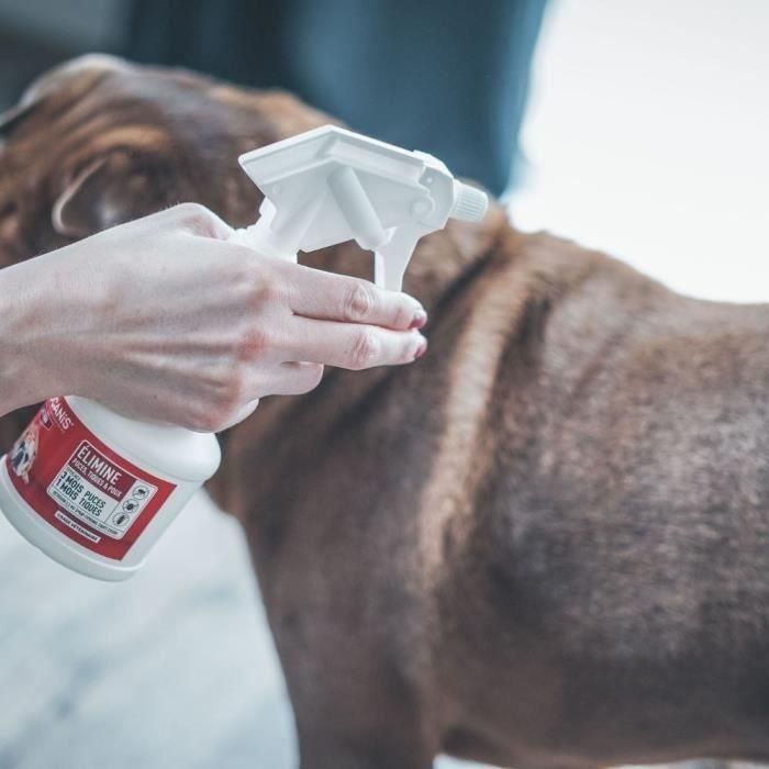 VETOSOIN Spray antiparasitario, antipulgas y anti-garrapatas con Fipronil - 250 ml - Para gatos y perros 3 VETOSOIN Spray antiparasitario, antipulgas y anti-garrapatas con Fipronil - 250 ml - Para gatos y perros 3