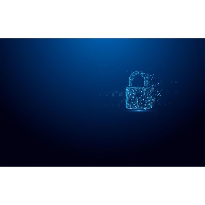 STICK 64GB Kingston IronKey Vault Privacy 50 retail 4