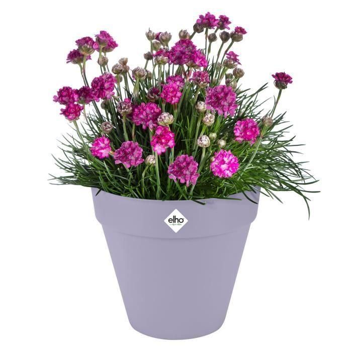 Maceta - Elho - Loft Urban Round - Ruedas 50 - Morado - L 49 x An 48,5 x Al 45 cm - Exterior - 100% reciclado 2 Maceta - Elho - Loft Urban Round - Ruedas 50 - Morado - L 49 x An 48,5 x Al 45 cm - Exterior - 100% reciclado 2