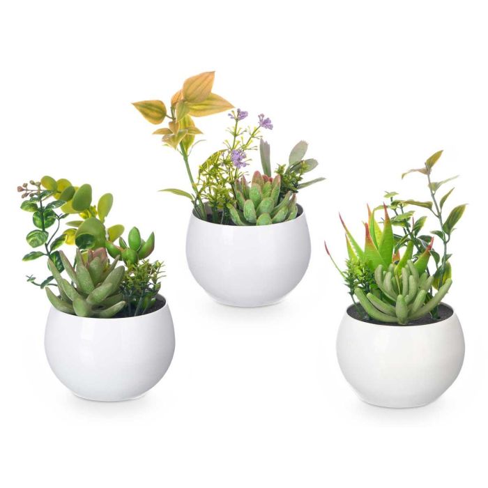 Ibergarden Maceta Redonda Plástico Blanca 8x16x8 cm (24 Unidades) 1 Ibergarden Maceta Redonda Plástico Blanca 8x16x8 cm (24 Unidades) 1