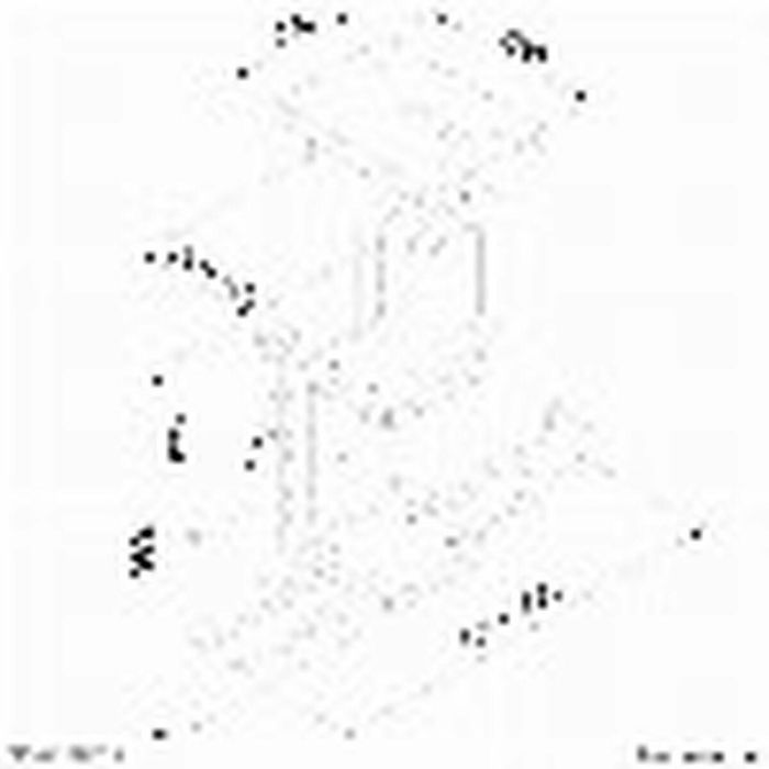 Soporte Neomounts CPU-D075BLACK/LK Negro Acero 4