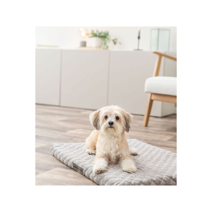 Colchón Trixie Vital Noah Gris claro 50 × 35 cm 2 Colchón Trixie Vital Noah Gris claro 50 × 35 cm 2