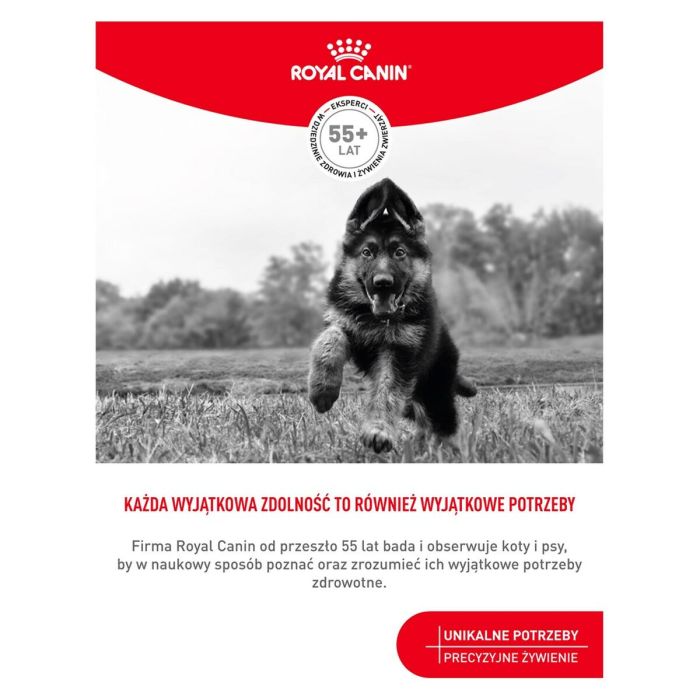 Snack para Perros Royal Canin Training Treats 110 g 2 Snack para Perros Royal Canin Training Treats 110 g 2