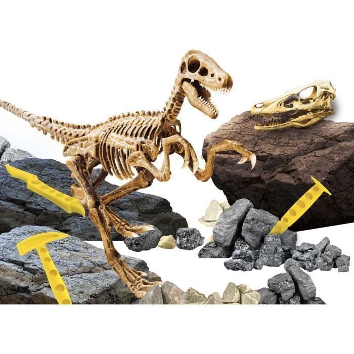 Lisciani Giochi I'm GENIUS Super Kit Velociraptor - Kit Paleontología para Excavación Esqueleto Dinosaurio Niños +7 años 1 Lisciani Giochi I'm GENIUS Super Kit Velociraptor - Kit Paleontología para Excavación Esqueleto Dinosaurio Niños +7 años 1